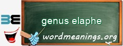 WordMeaning blackboard for genus elaphe